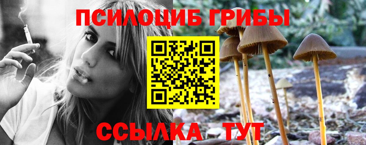 Кемерово  Галлюциногенные грибы Psilocybe  Вход с VPN 
